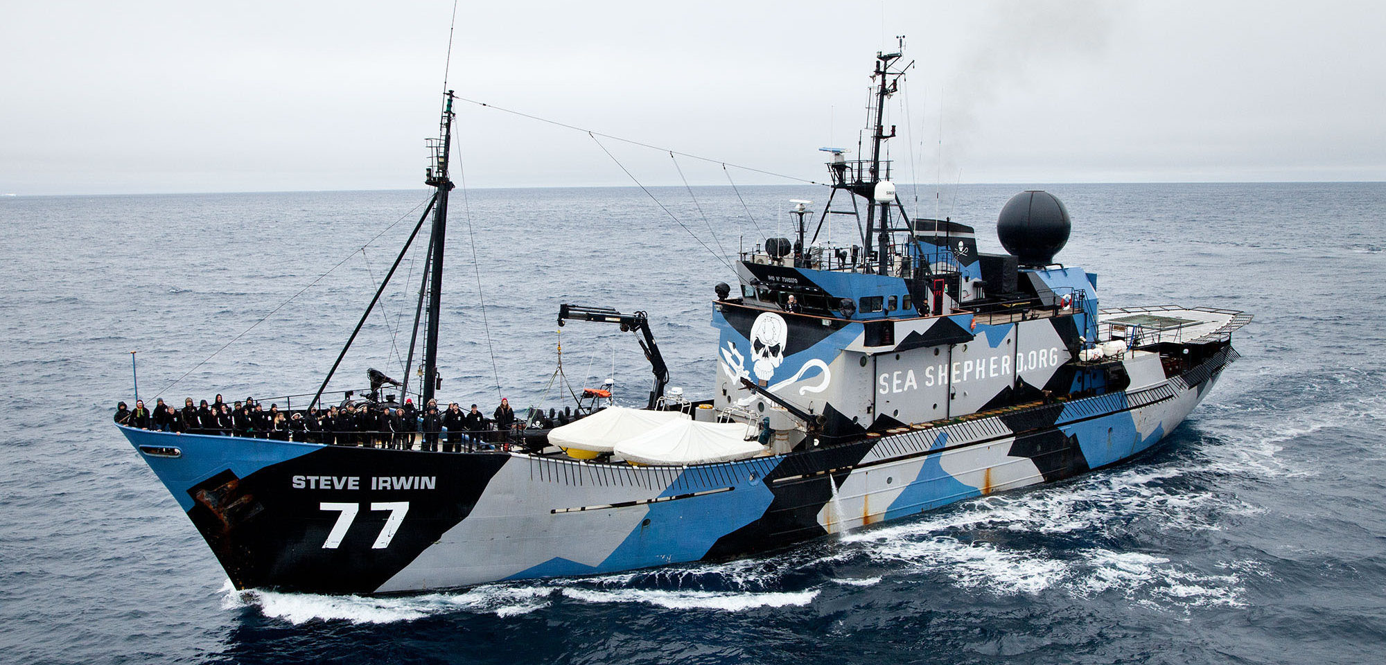 Sea Shepherd Gli Eco Pirati Che Lottano Per Proteggere I Delfini