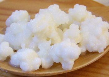 Granuli di kefir (foto: http://www.breadandfitness.co.uk/)