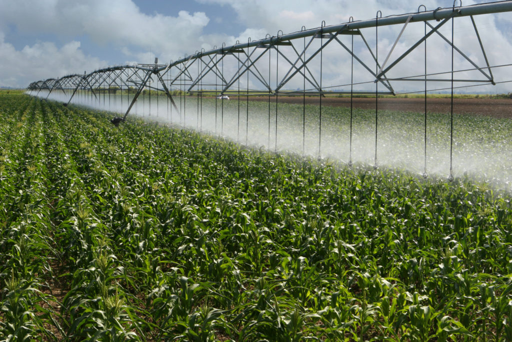 sostenibilit-e-biodiversit-agricola-fertilizzanti-naturali-contro