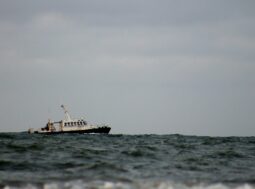 ridurre la pesca nel Mediterraneo